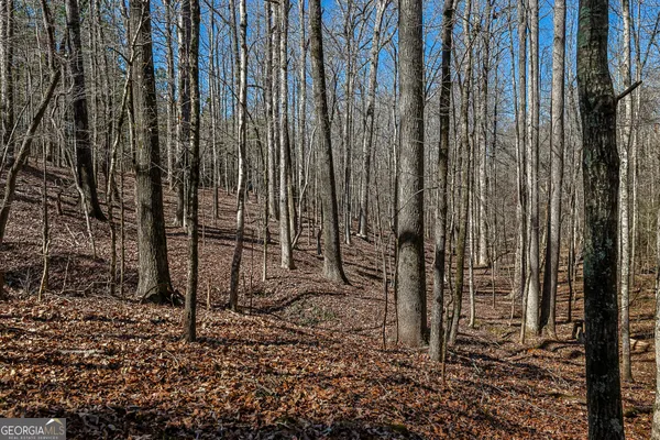 a view of a backyard with pathway