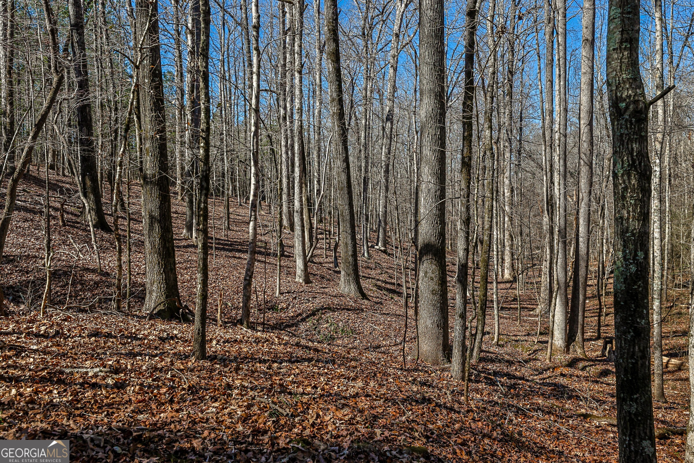 0 Old Zebulon Road Forsyth, GA 31029 - Photo 3 of 60 a view of a backyard with pathway