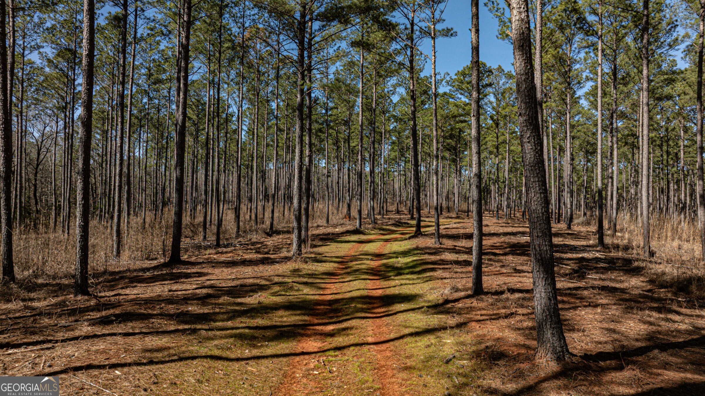 0 Old Zebulon Road Forsyth, GA 31029 - Photo 32 of 60 a view of a backyard with of trees