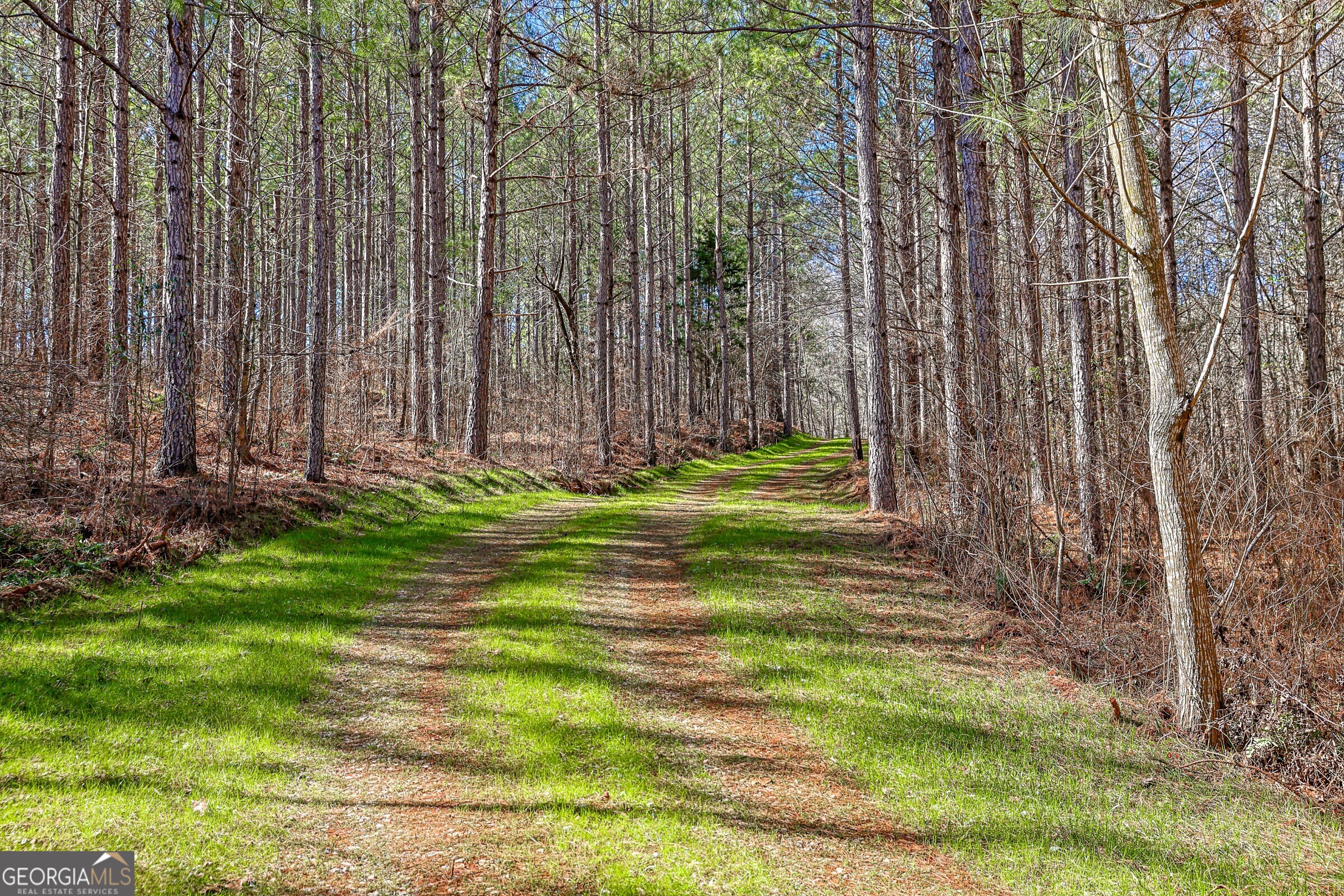 0 Old Zebulon Road Forsyth, GA 31029 - Photo 36 of 60 a backyard of apartments with large trees