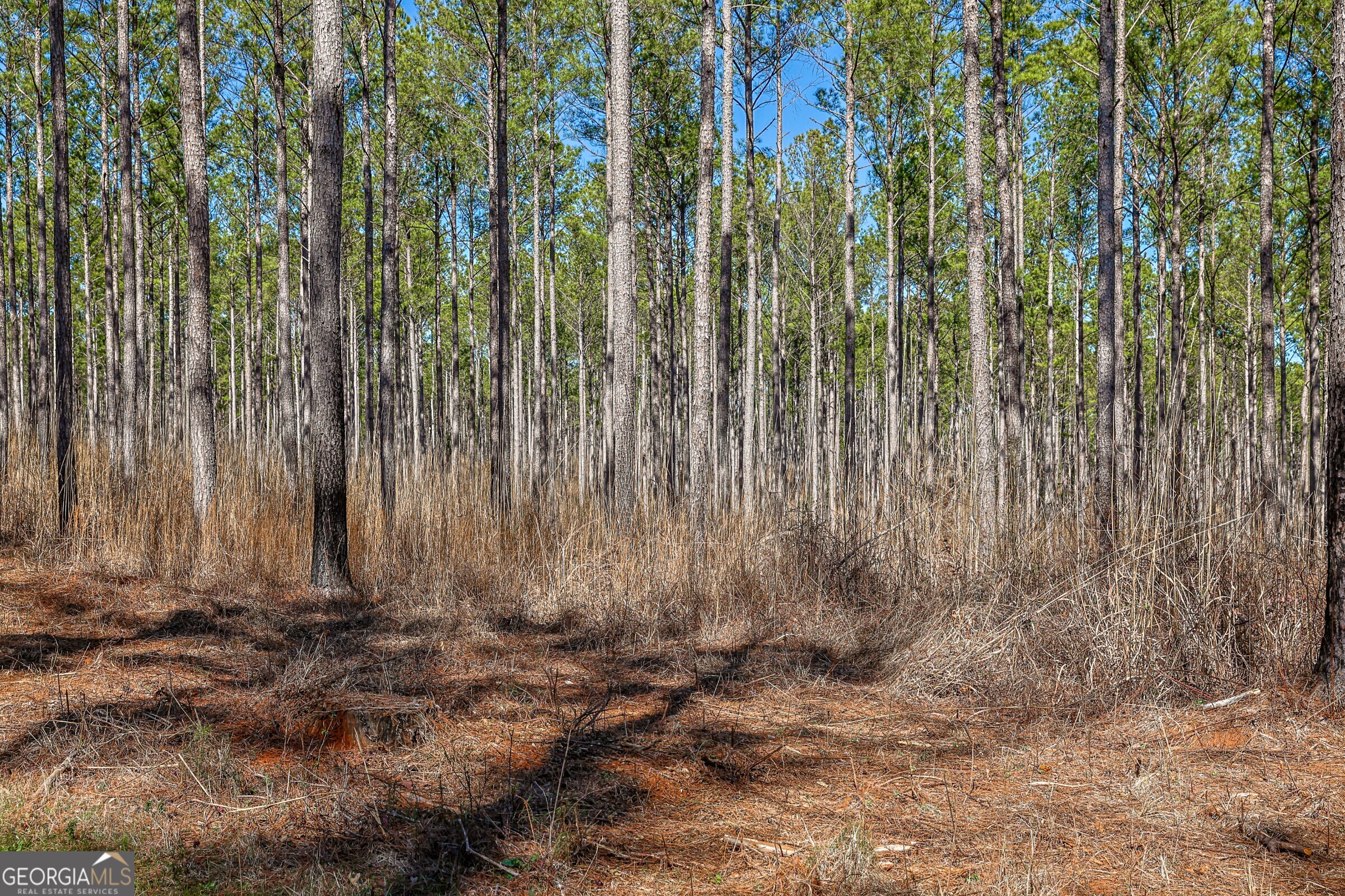 0 Old Zebulon Road Forsyth, GA 31029 - Photo 37 of 60