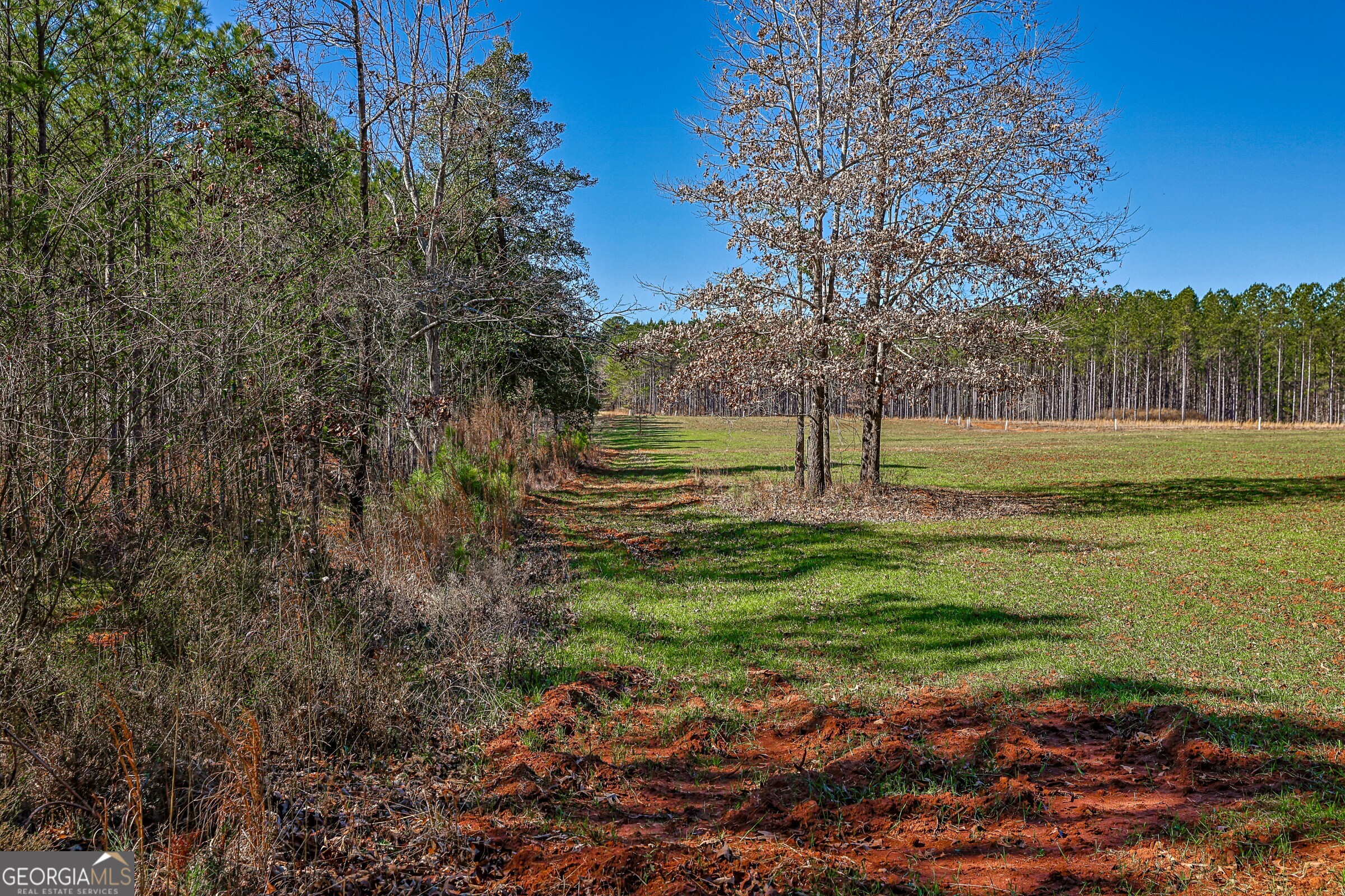 0 Old Zebulon Road Forsyth, GA 31029 - Photo 38 of 60 a view of a golf course with a lake view