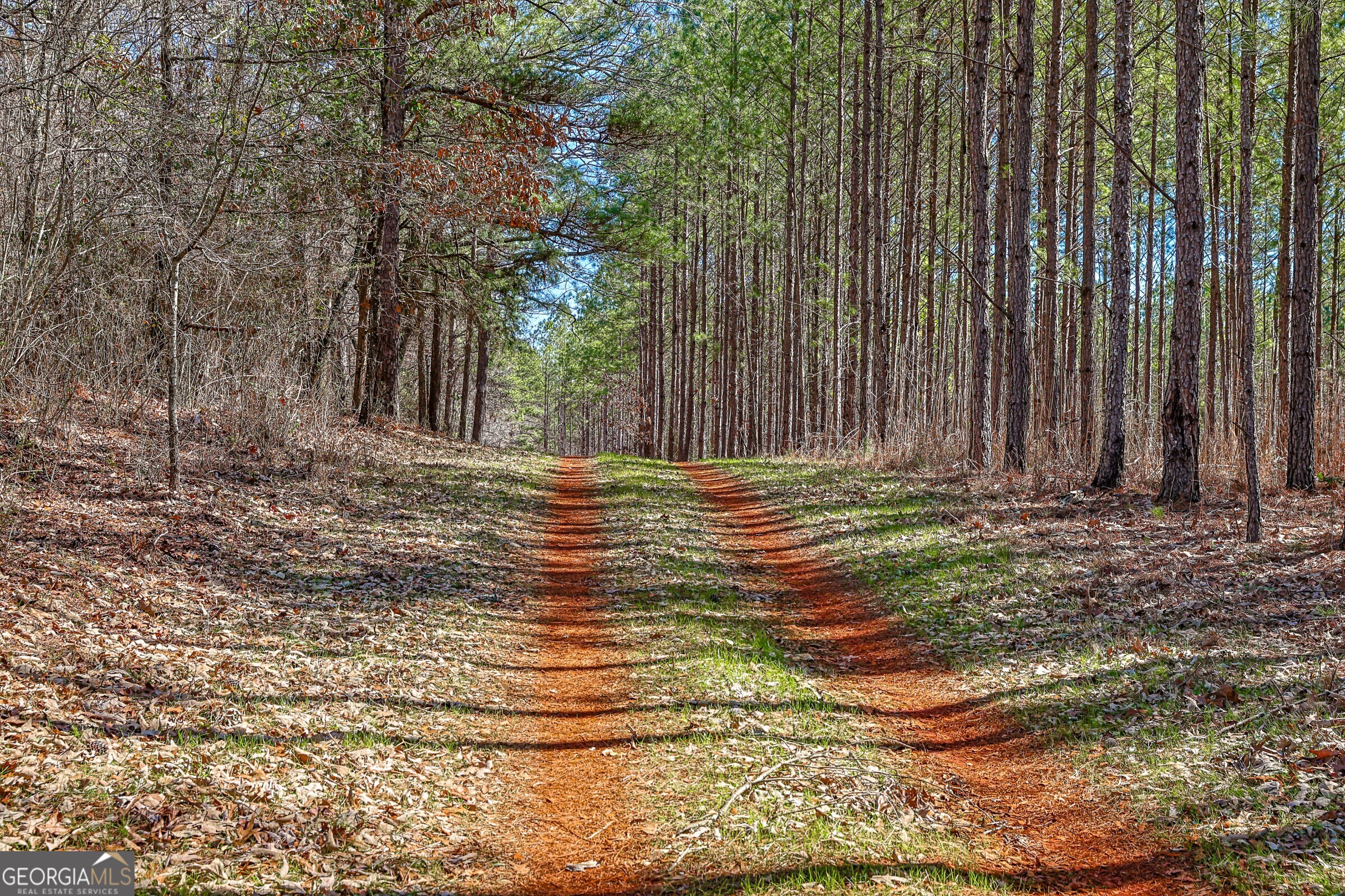 0 Old Zebulon Road Forsyth, GA 31029 - Photo 39 of 60 a view of backyard with green space