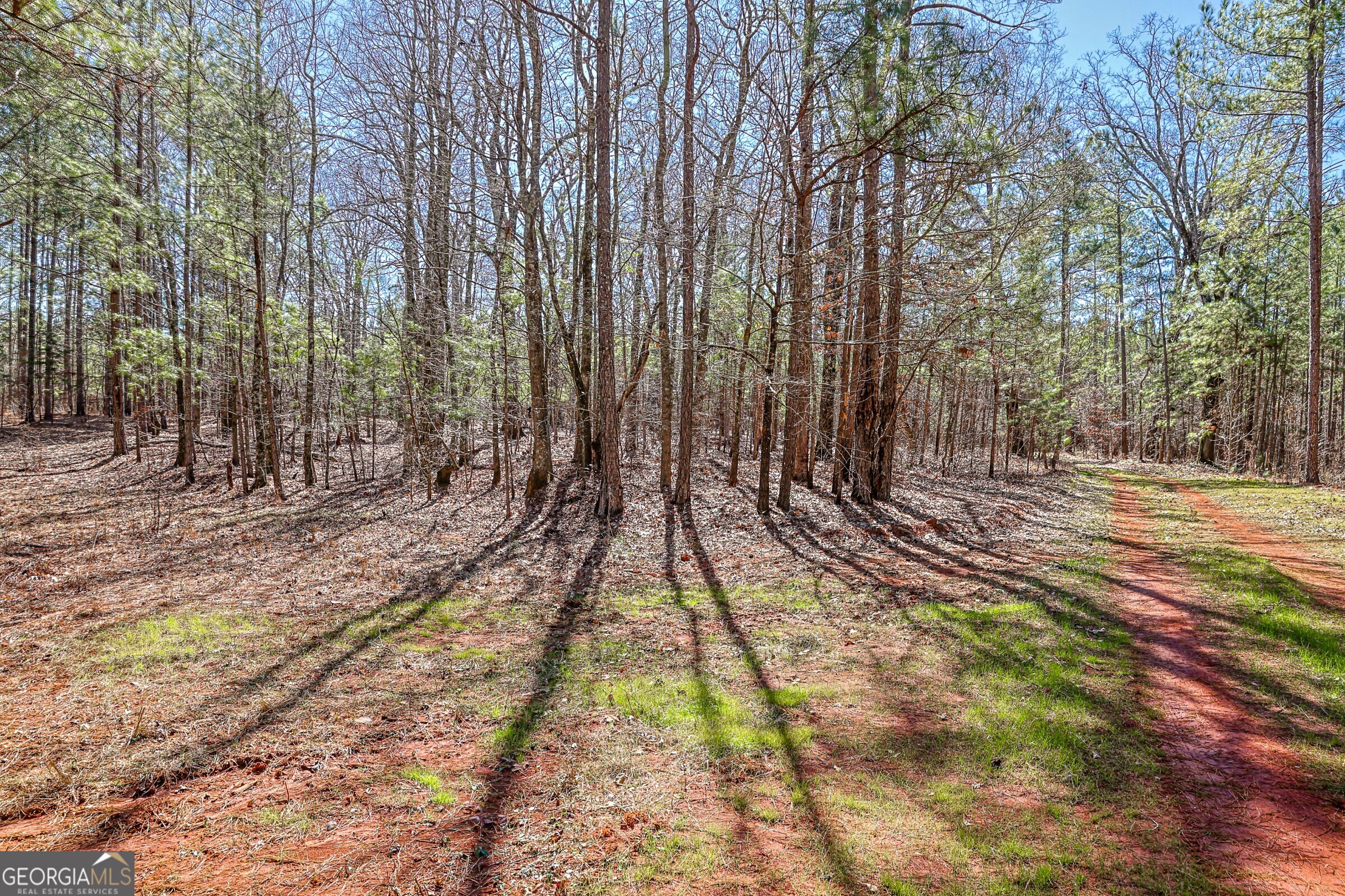 0 Old Zebulon Road Forsyth, GA 31029 - Photo 40 of 60 a view of fountain in the yard