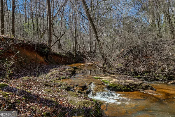 a view of dirt yard with a tree
