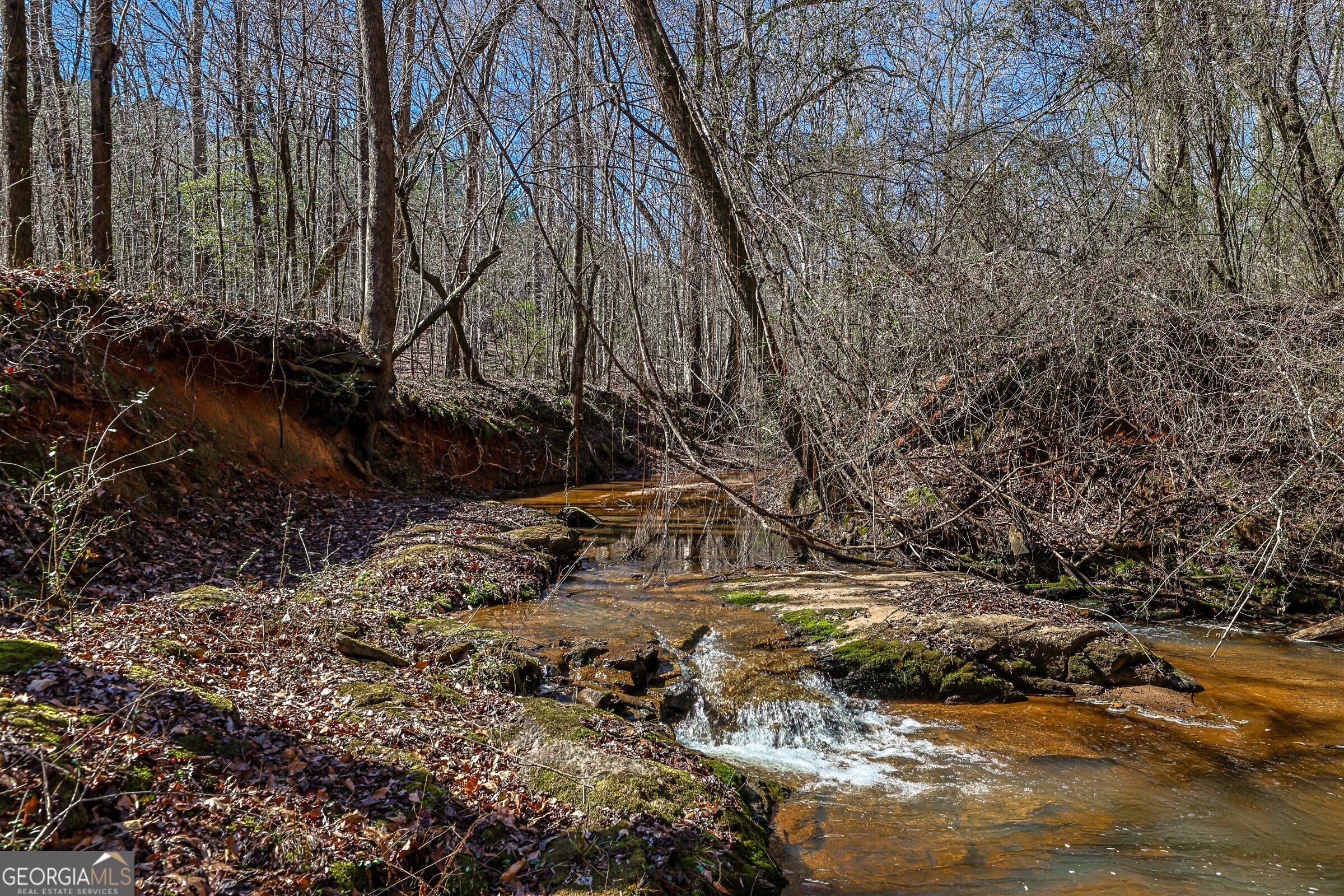 0 Old Zebulon Road Forsyth, GA 31029 - Photo 4 of 60 a view of dirt yard with a tree