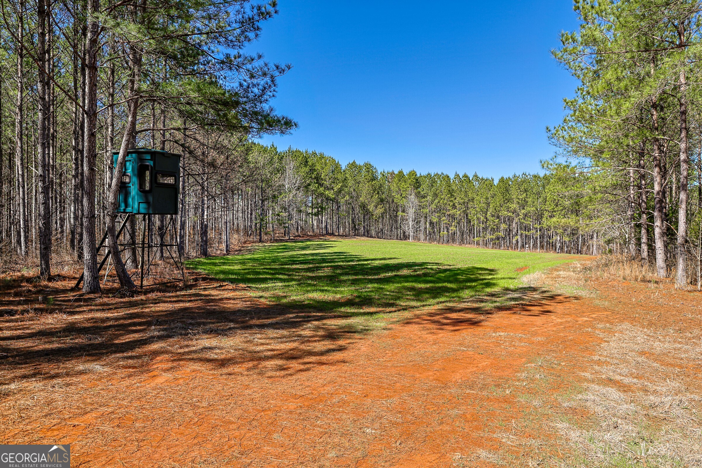 0 Old Zebulon Road Forsyth, GA 31029 - Photo 41 of 60 a view of a park with large trees