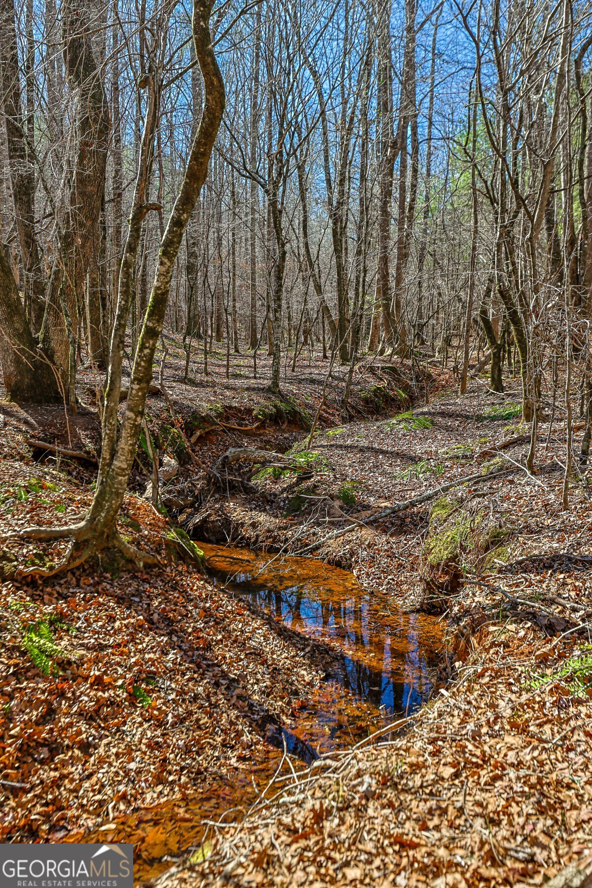 0 Old Zebulon Road Forsyth, GA 31029 - Photo 44 of 60 a view of outdoor space with city view