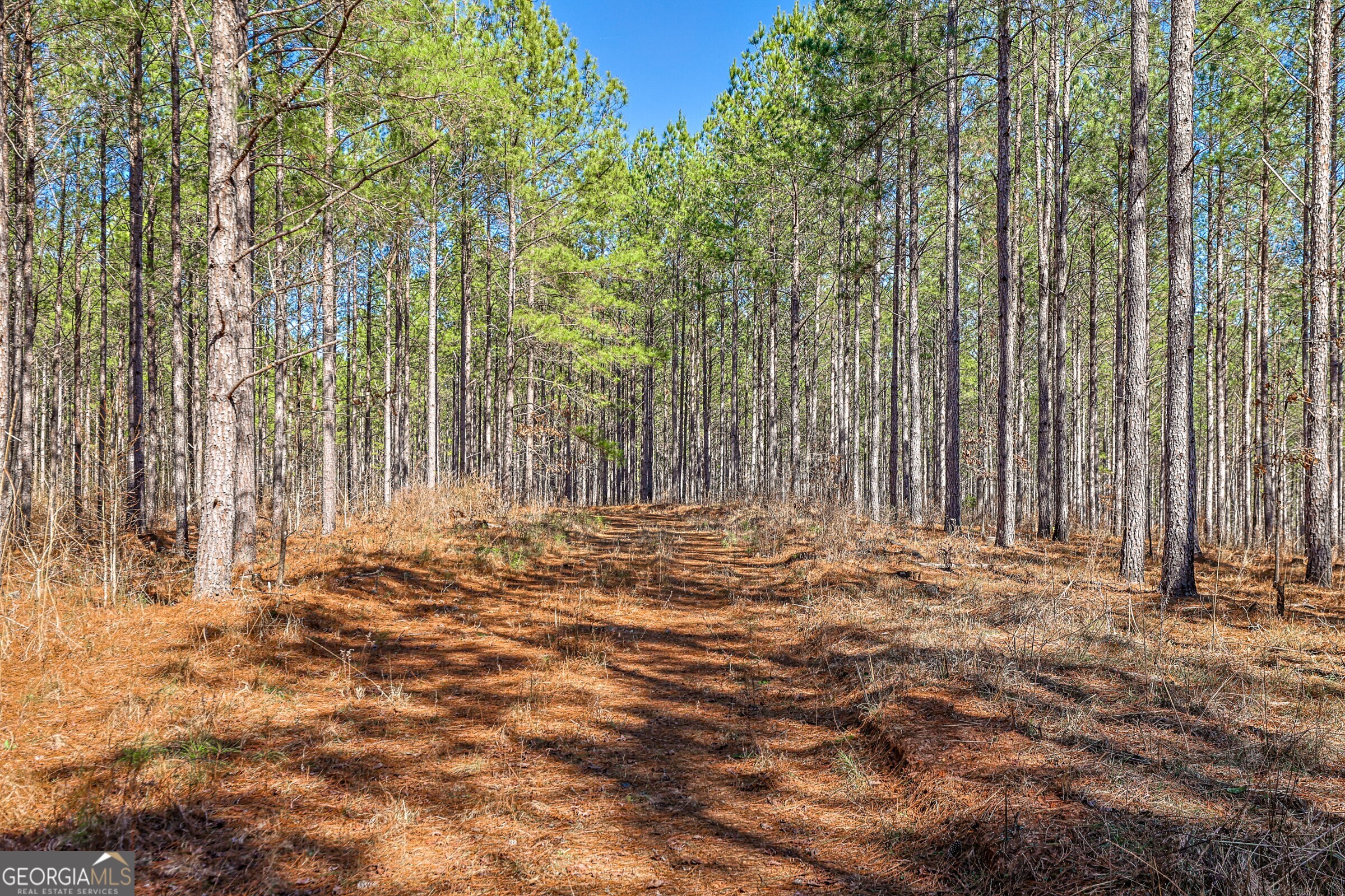 0 Old Zebulon Road Forsyth, GA 31029 - Photo 45 of 60 a view of outdoor space with sliding door and tree