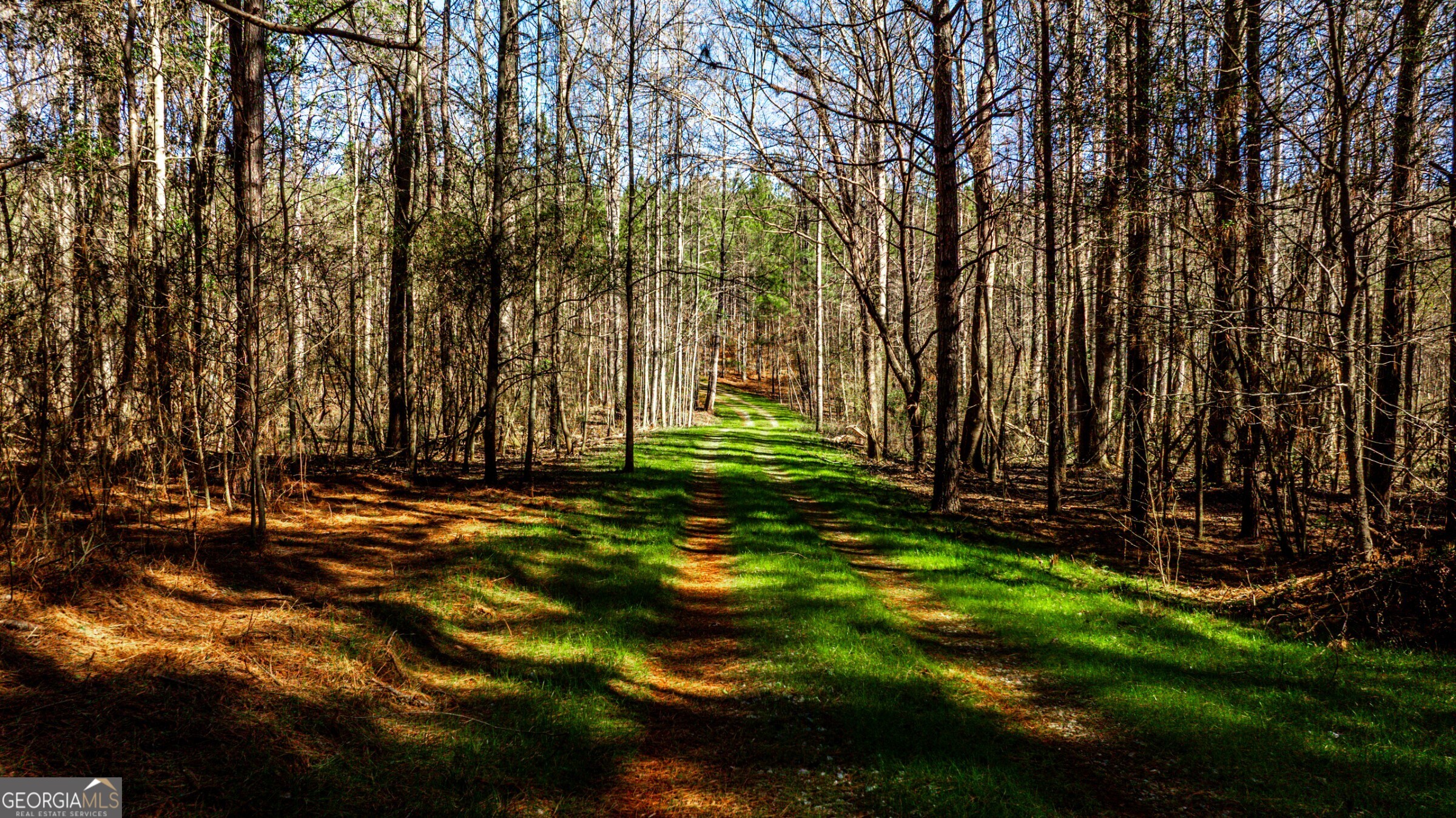 0 Old Zebulon Road Forsyth, GA 31029 - Photo 46 of 60 a backyard of a house with lots of green space