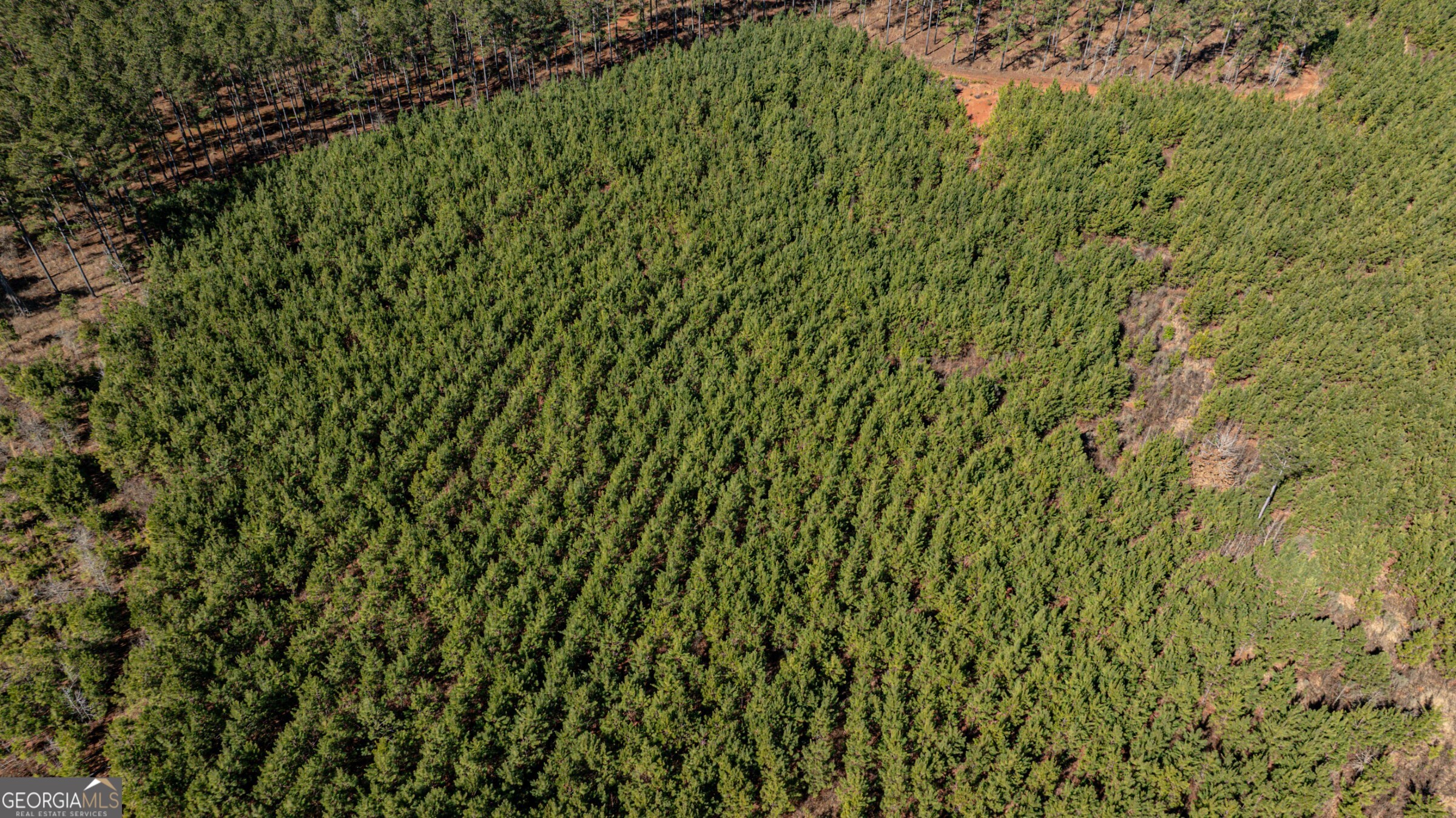 0 Old Zebulon Road Forsyth, GA 31029 - Photo 47 of 60