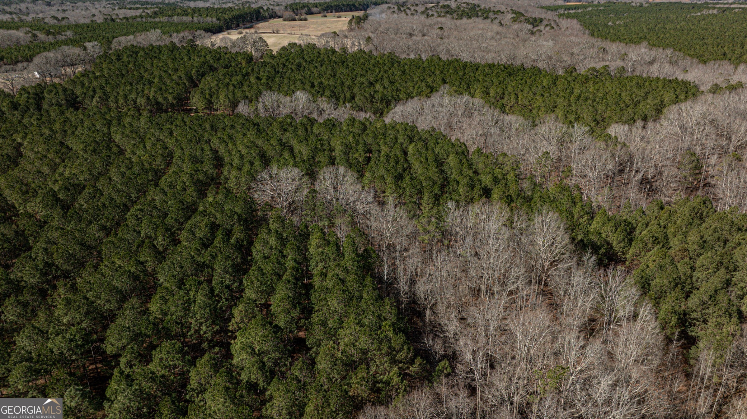 0 Old Zebulon Road Forsyth, GA 31029 - Photo 48 of 60