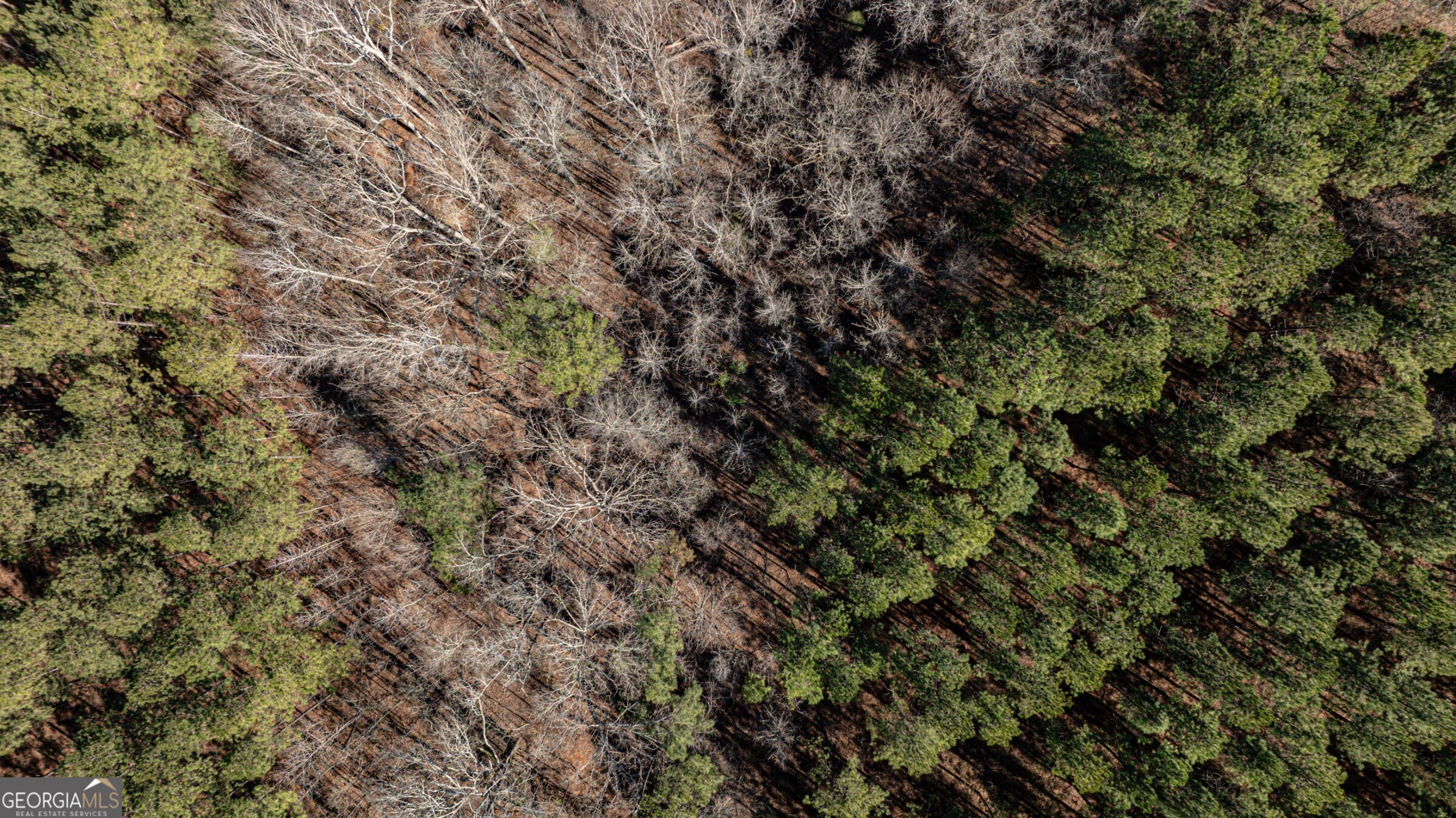 0 Old Zebulon Road Forsyth, GA 31029 - Photo 49 of 60 a view of a tree