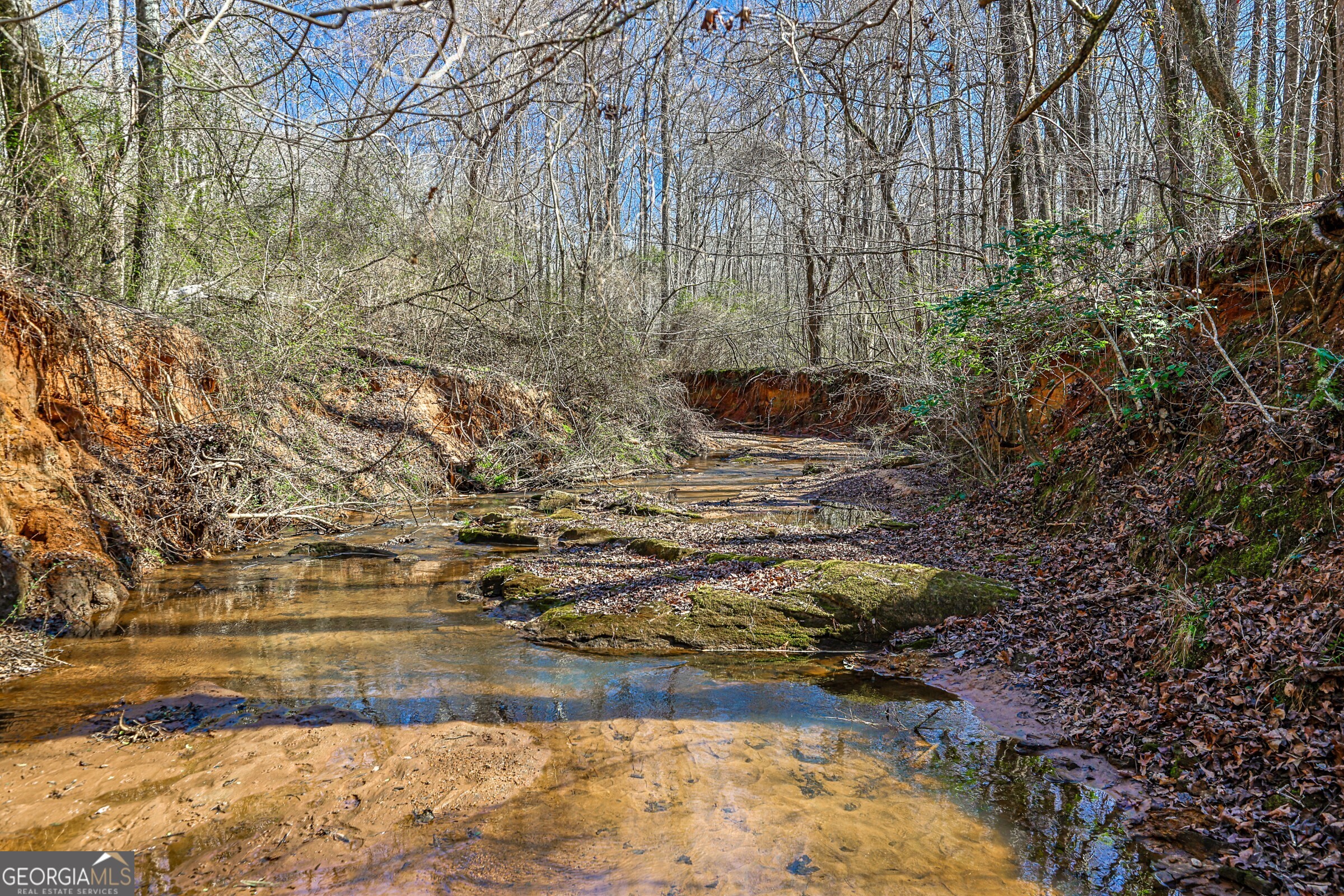 0 Old Zebulon Road Forsyth, GA 31029 - Photo 5 of 60 a view of yard along with trees