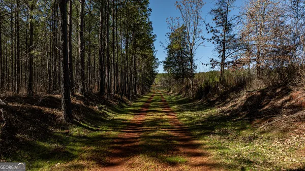 $4,791,960 | 0 Old Zebulon Road, Forsyth, GA 31029
