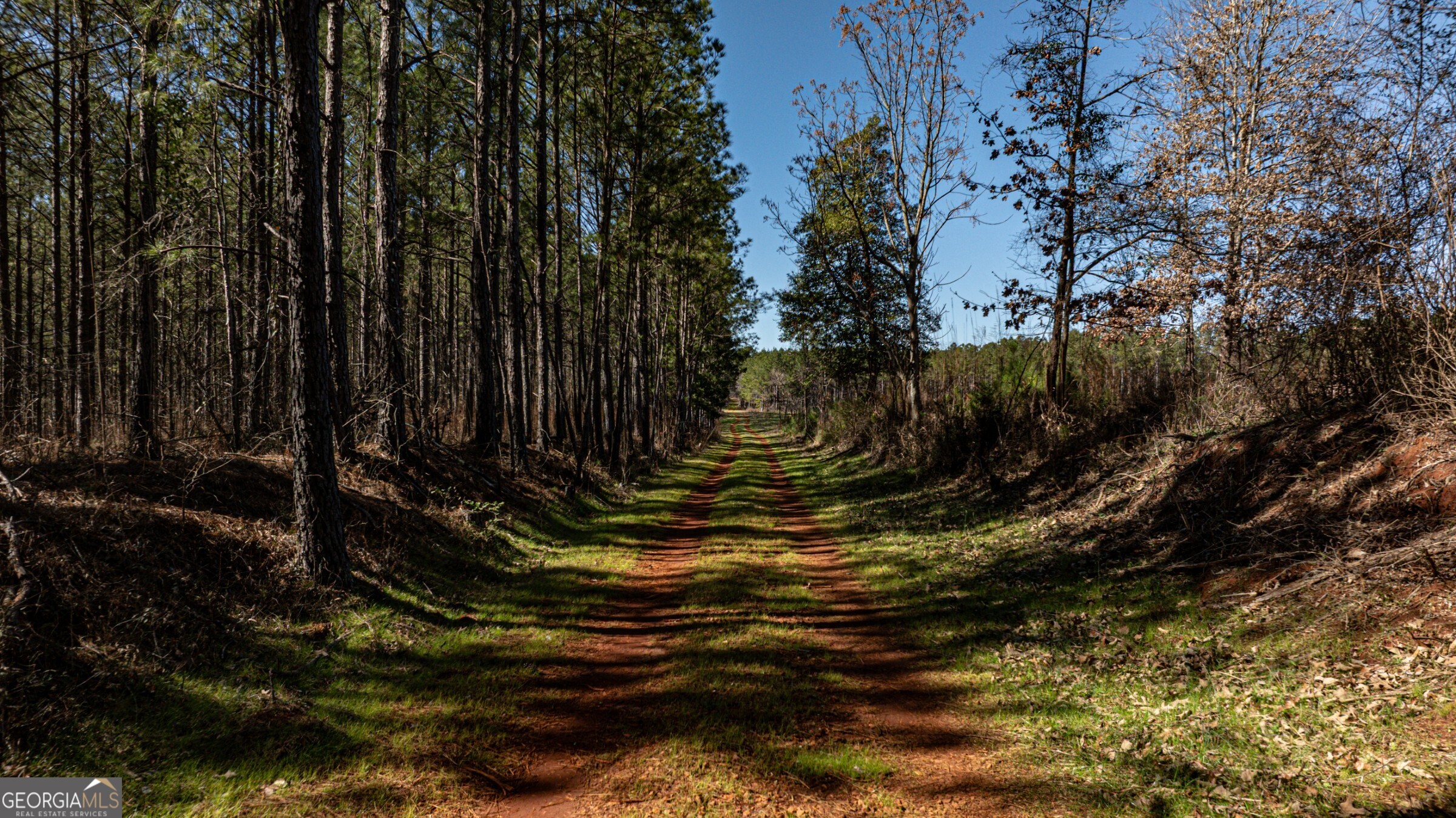 0 Old Zebulon Road Forsyth, GA 31029 - Photo 51 of 60 a view of a water fountain