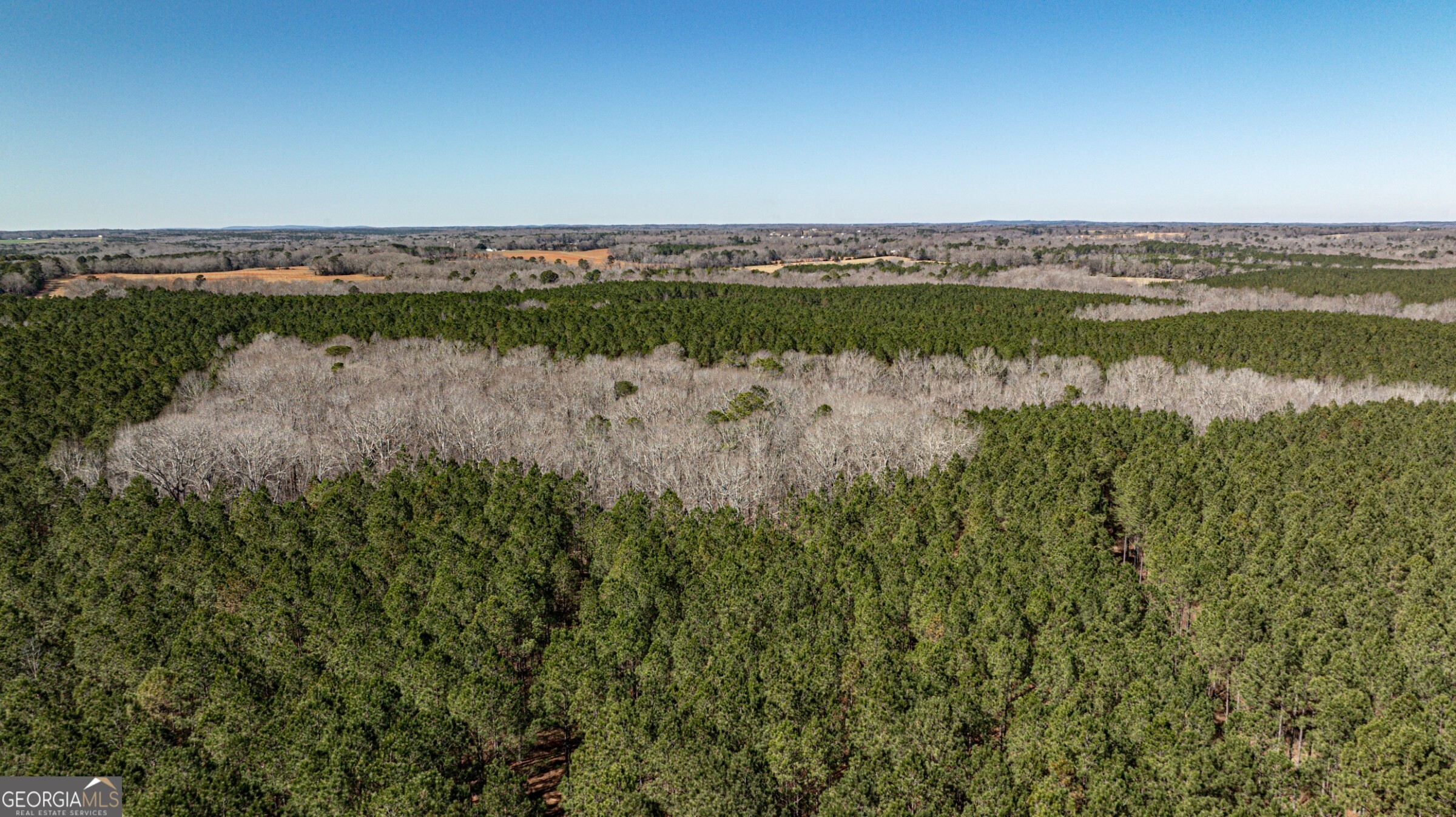 0 Old Zebulon Road Forsyth, GA 31029 - Photo 52 of 60 a view of a lake with a city