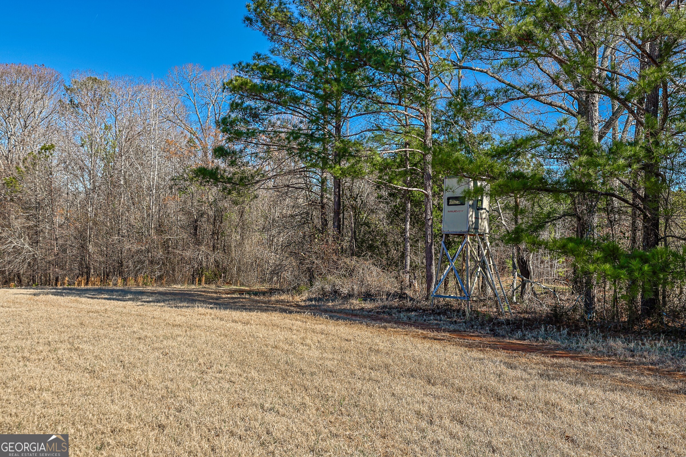 0 Old Zebulon Road Forsyth, GA 31029 - Photo 55 of 60 a view of a yard with trees