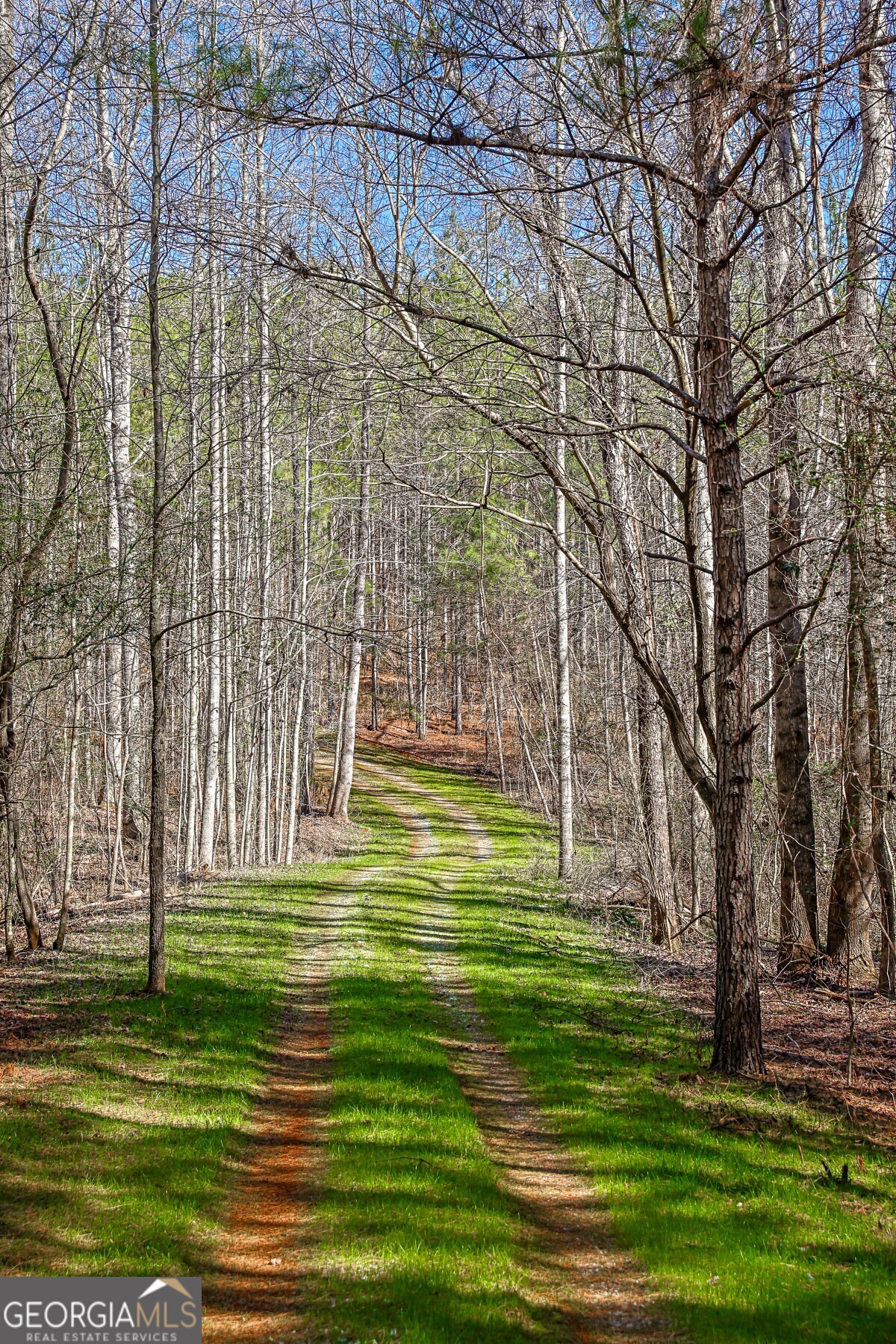 0 Old Zebulon Road Forsyth, GA 31029 - Photo 56 of 60 a view of a park with large trees