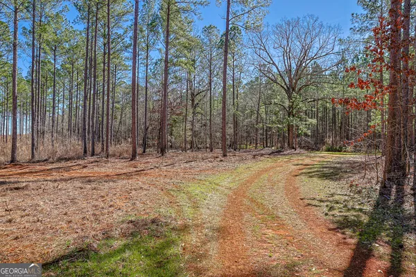 $4,791,960 | 0 Old Zebulon Road, Forsyth, GA 31029