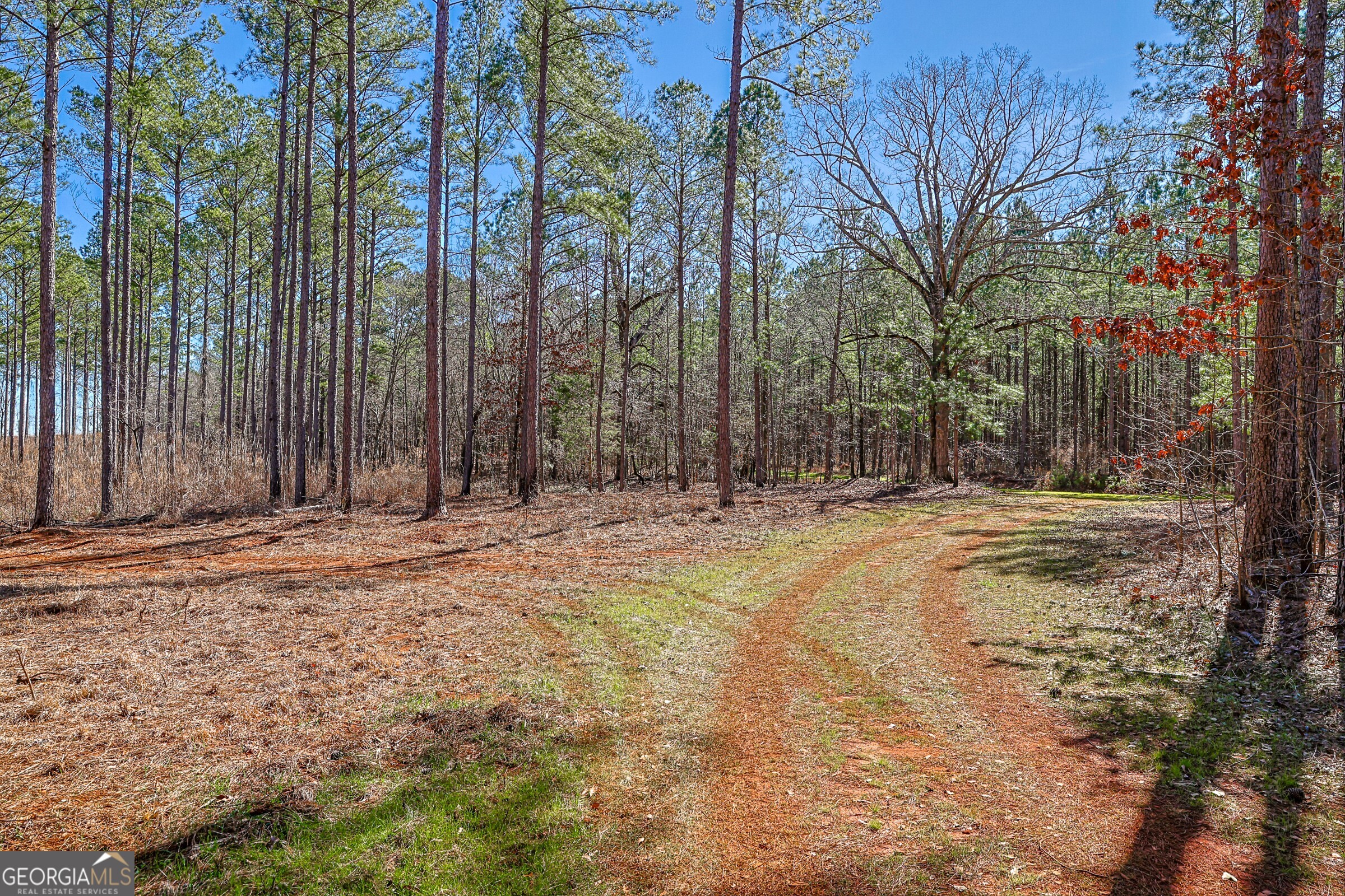 0 Old Zebulon Road Forsyth, GA 31029 - Photo 57 of 60 a view of outdoor space with trees