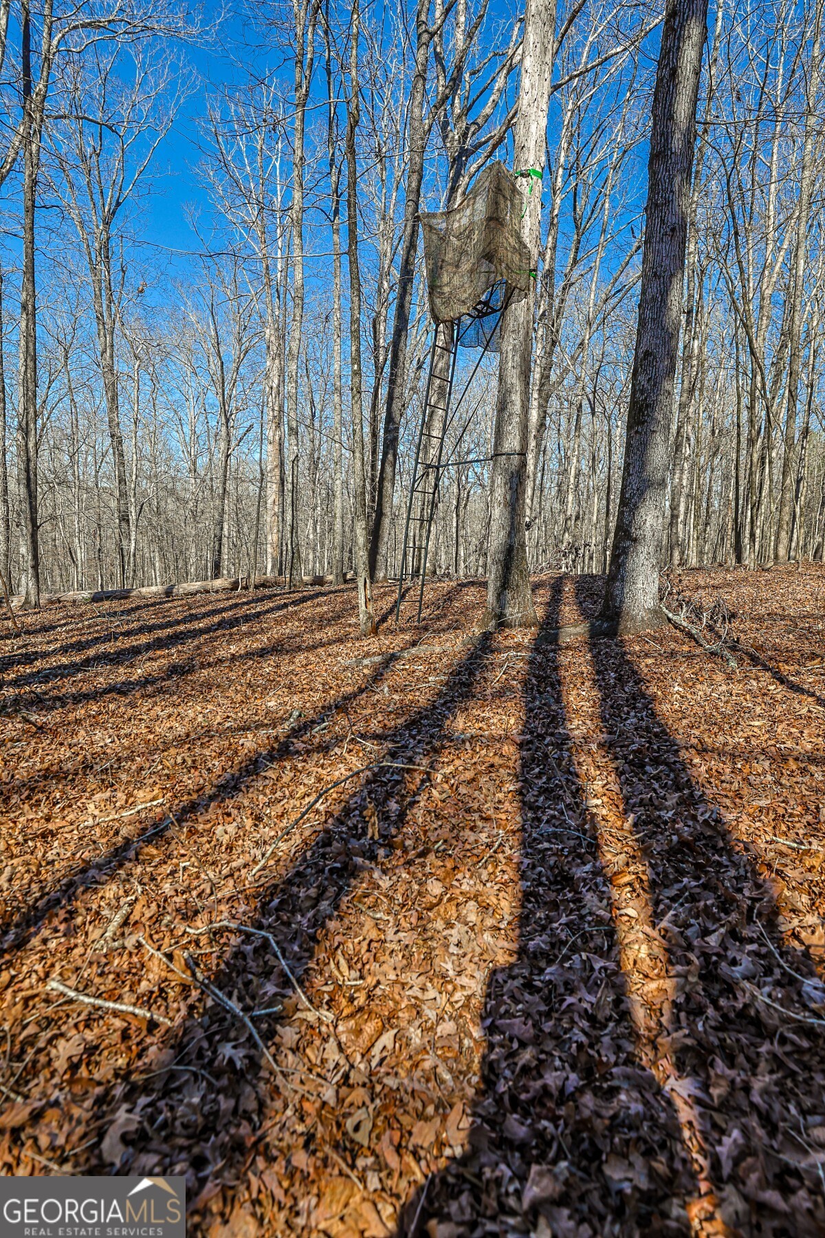 0 Old Zebulon Road Forsyth, GA 31029 - Photo 59 of 60 a view of a yard with trees