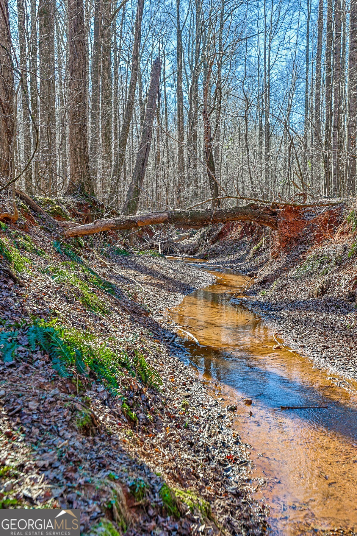 0 Old Zebulon Road Forsyth, GA 31029 - Photo 60 of 60 a view of a backyard with large trees