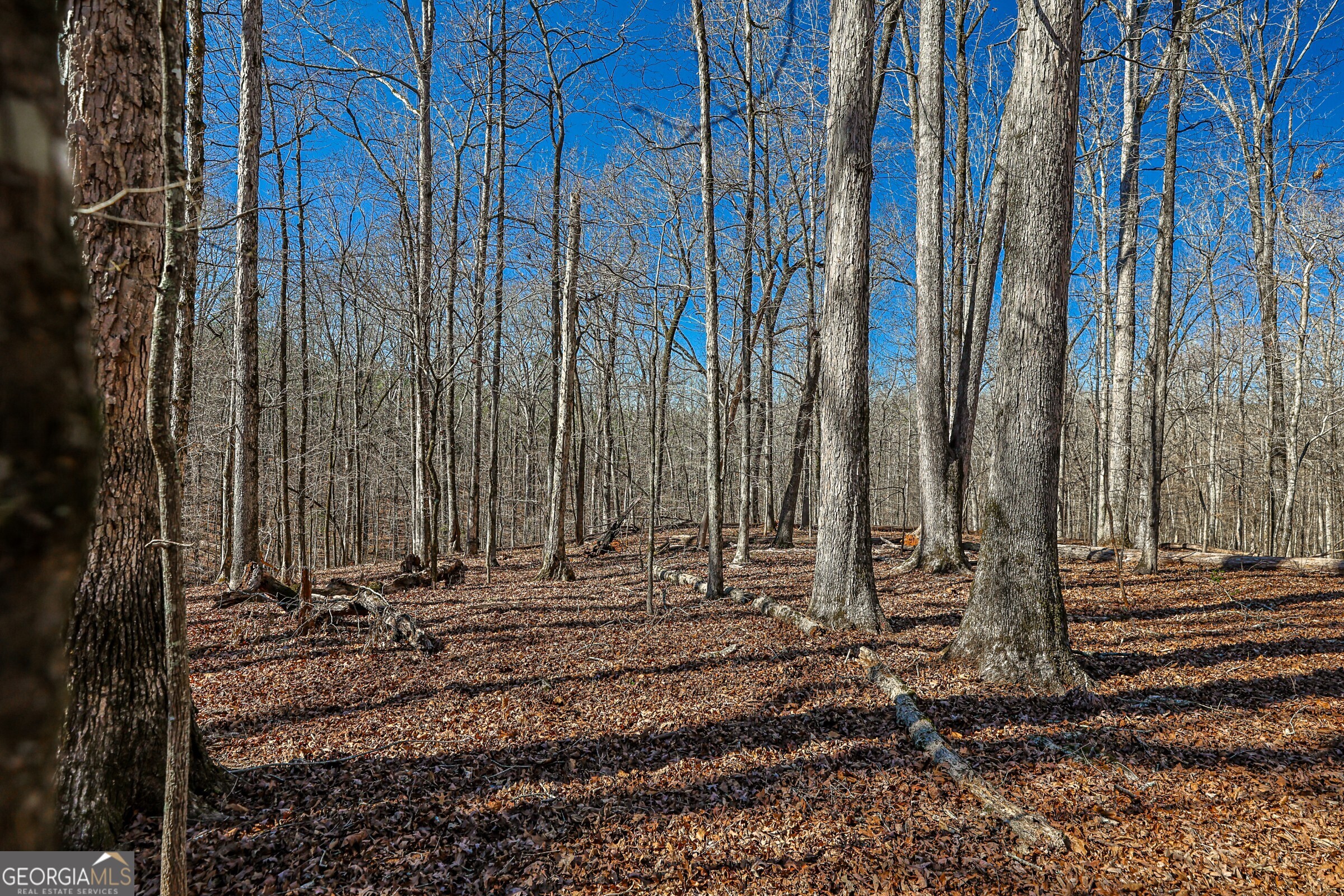 0 Old Zebulon Road Forsyth, GA 31029 - Photo 6 of 60 a view of a building with a trees