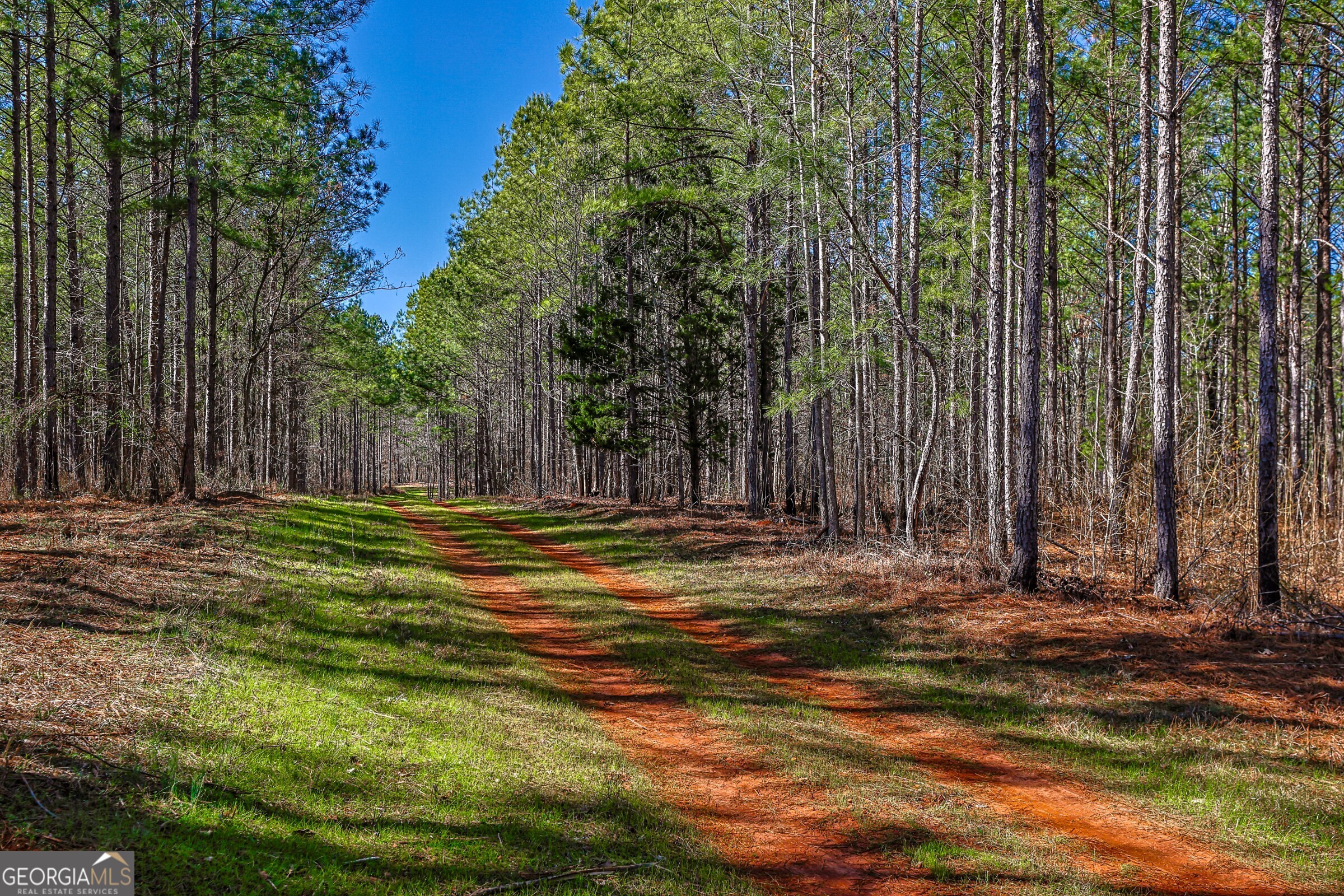0 Old Zebulon Road Forsyth, GA 31029 - Photo 7 of 60