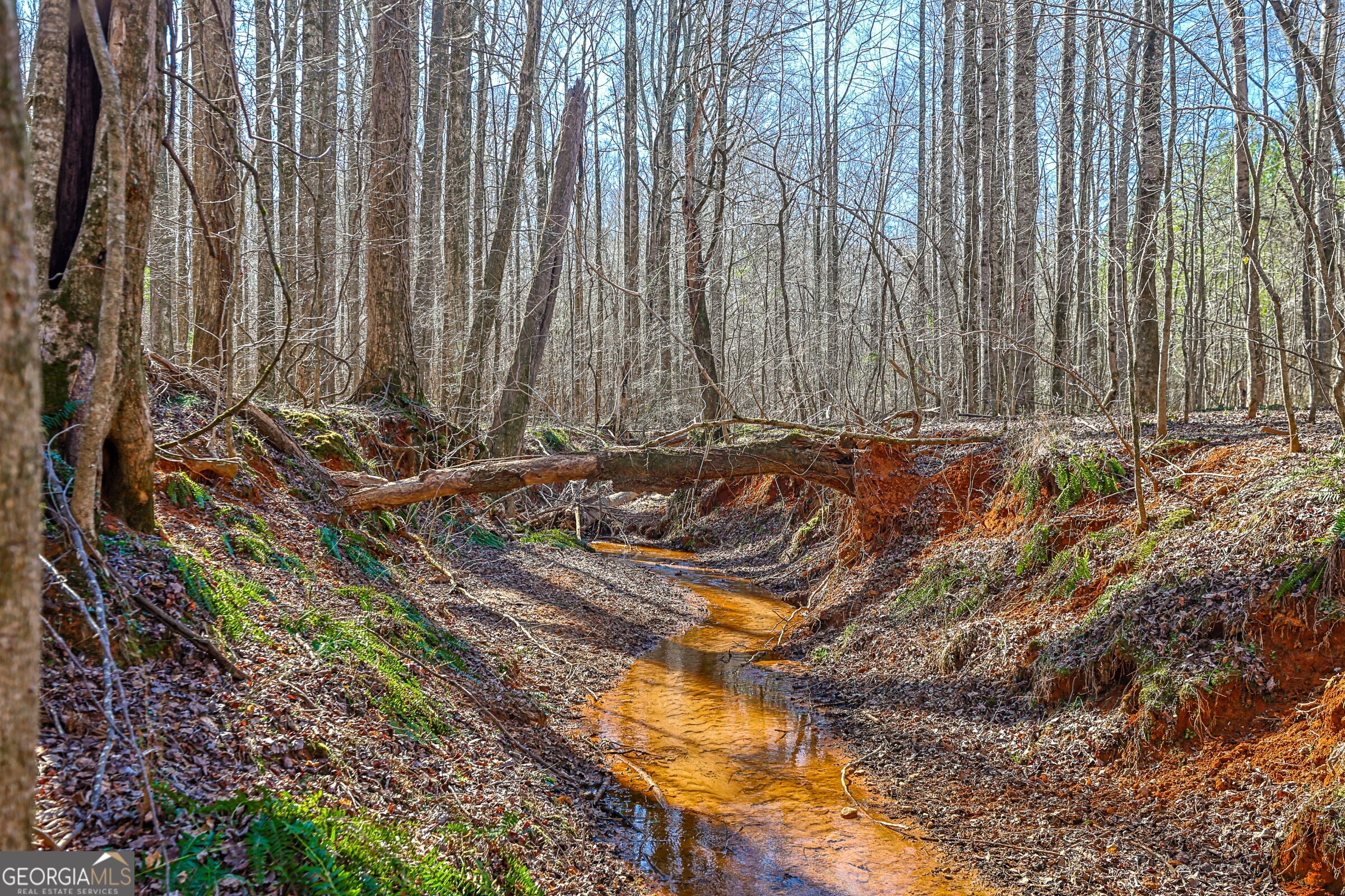 0 Old Zebulon Road Forsyth, GA 31029 - Photo 8 of 60 a view of wooden fence