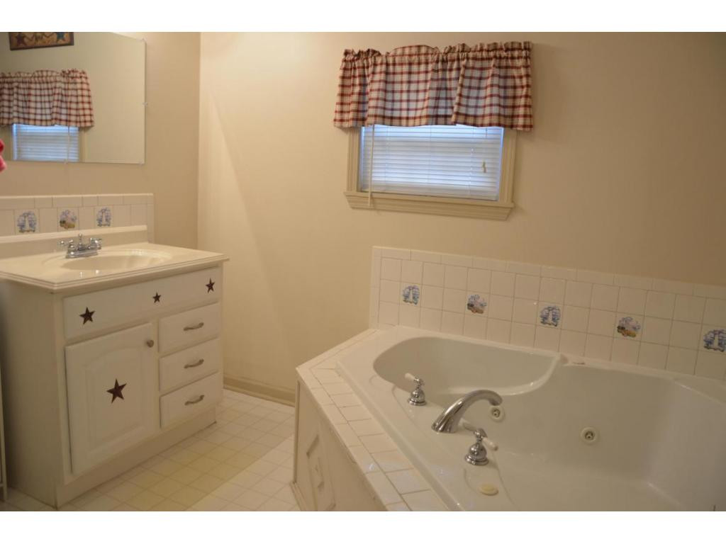 9508 Reedy Creek Road Bristol, VA 24202 - Photo 5 of 8 Master bath with jetted tub