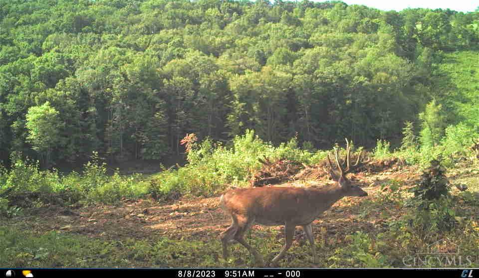 A Enley Road McDermott, OH 45652 - Photo 2 of 97