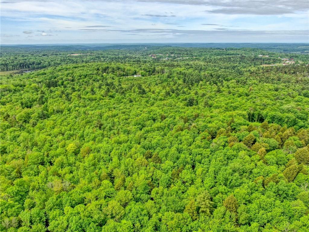 401 Harris Road Monticello, NY 12701 - Photo 11 of 15 Bird's eye view