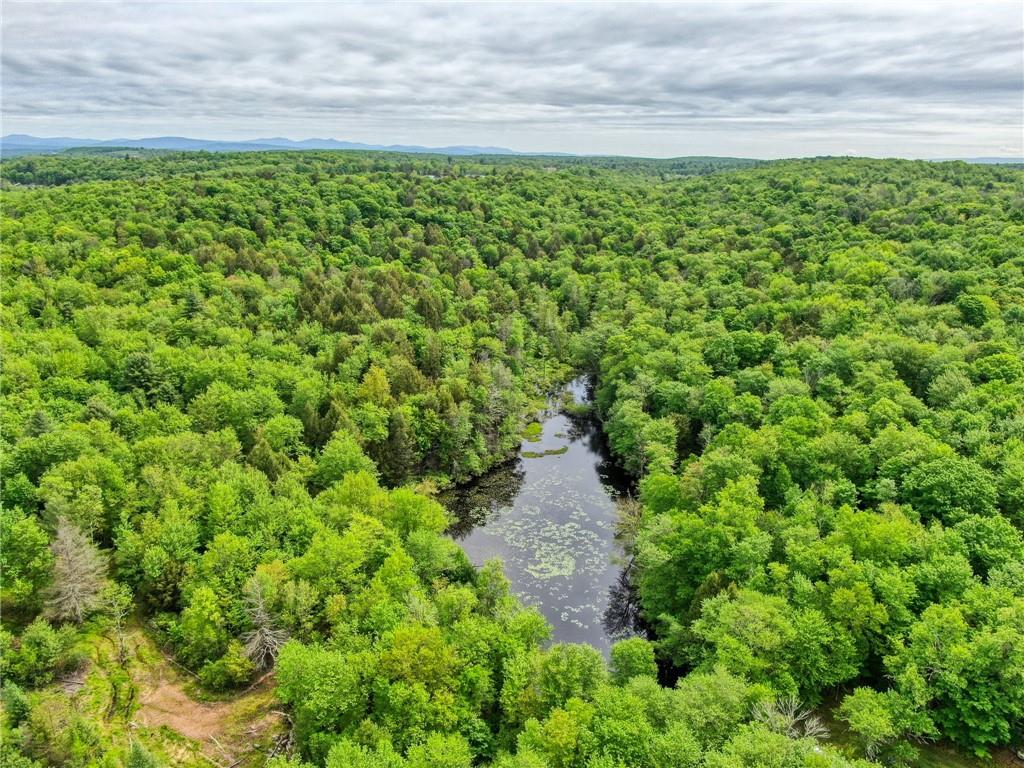 401 Harris Road Monticello, NY 12701 - Photo 13 of 15 Bird's eye view featuring a water view