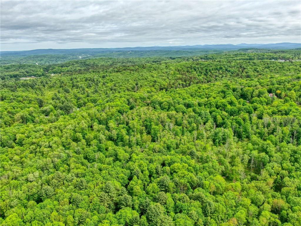 401 Harris Road Monticello, NY 12701 - Photo 14 of 15 Aerial view