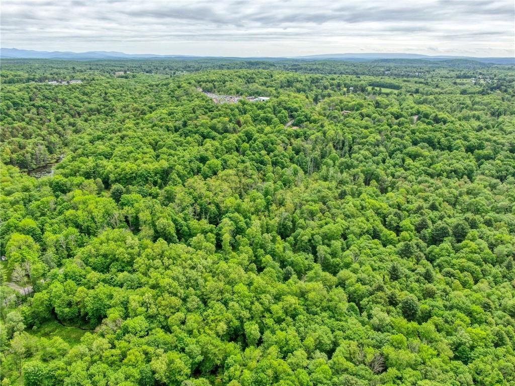 401 Harris Road Monticello, NY 12701 - Photo 15 of 15 Birds eye view of property