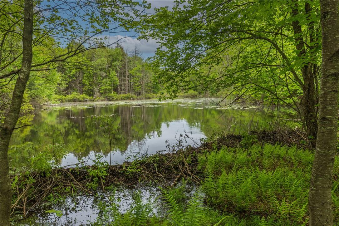 401 Harris Road Monticello, NY 12701 - Photo 4 of 15 View of water feature