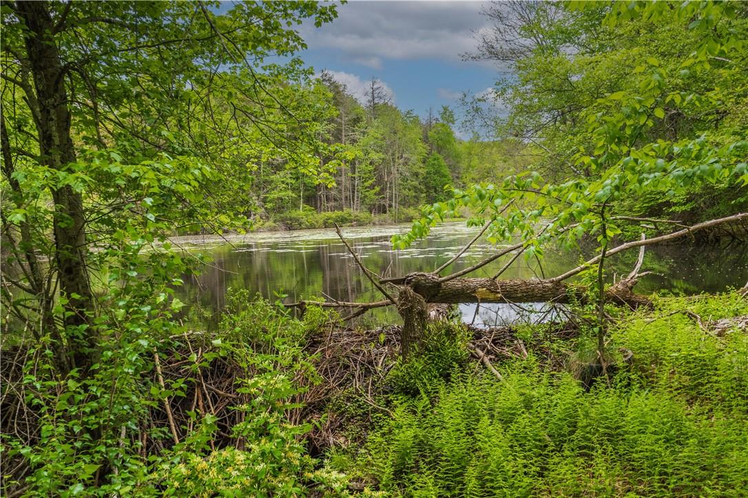 401 Harris Road Monticello, NY 12701 - Photo 6 of 15 View of local wilderness featuring a water view