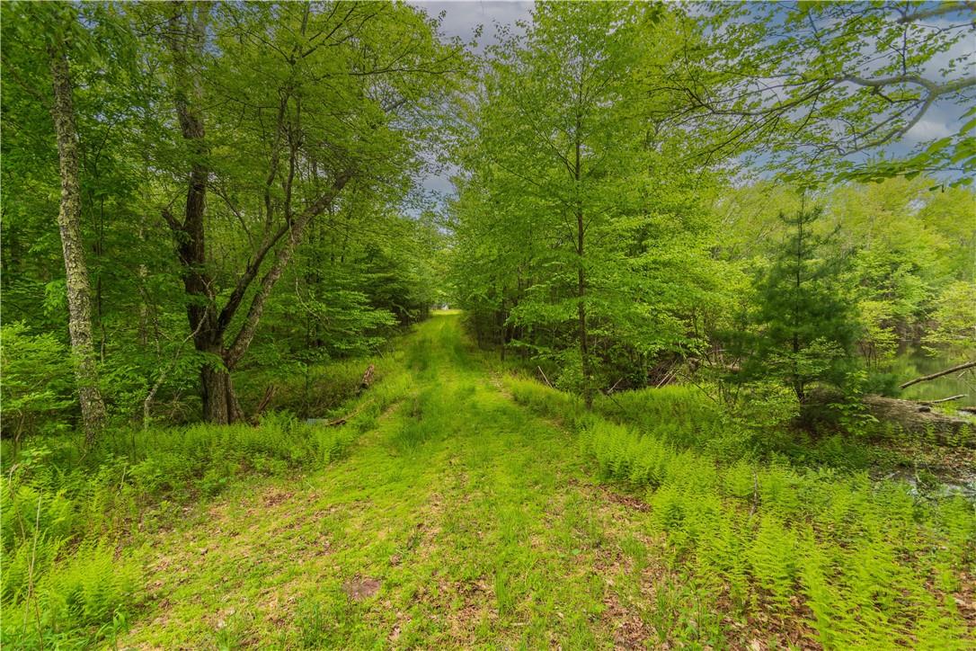 401 Harris Road Monticello, NY 12701 - Photo 10 of 15 path to backside of pond