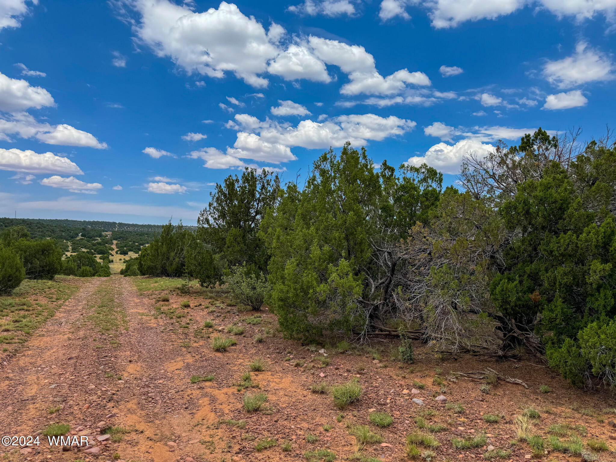 22-26 County Road Concho, AZ 85924 - Photo 11 of 25 IMG_5479 (1)