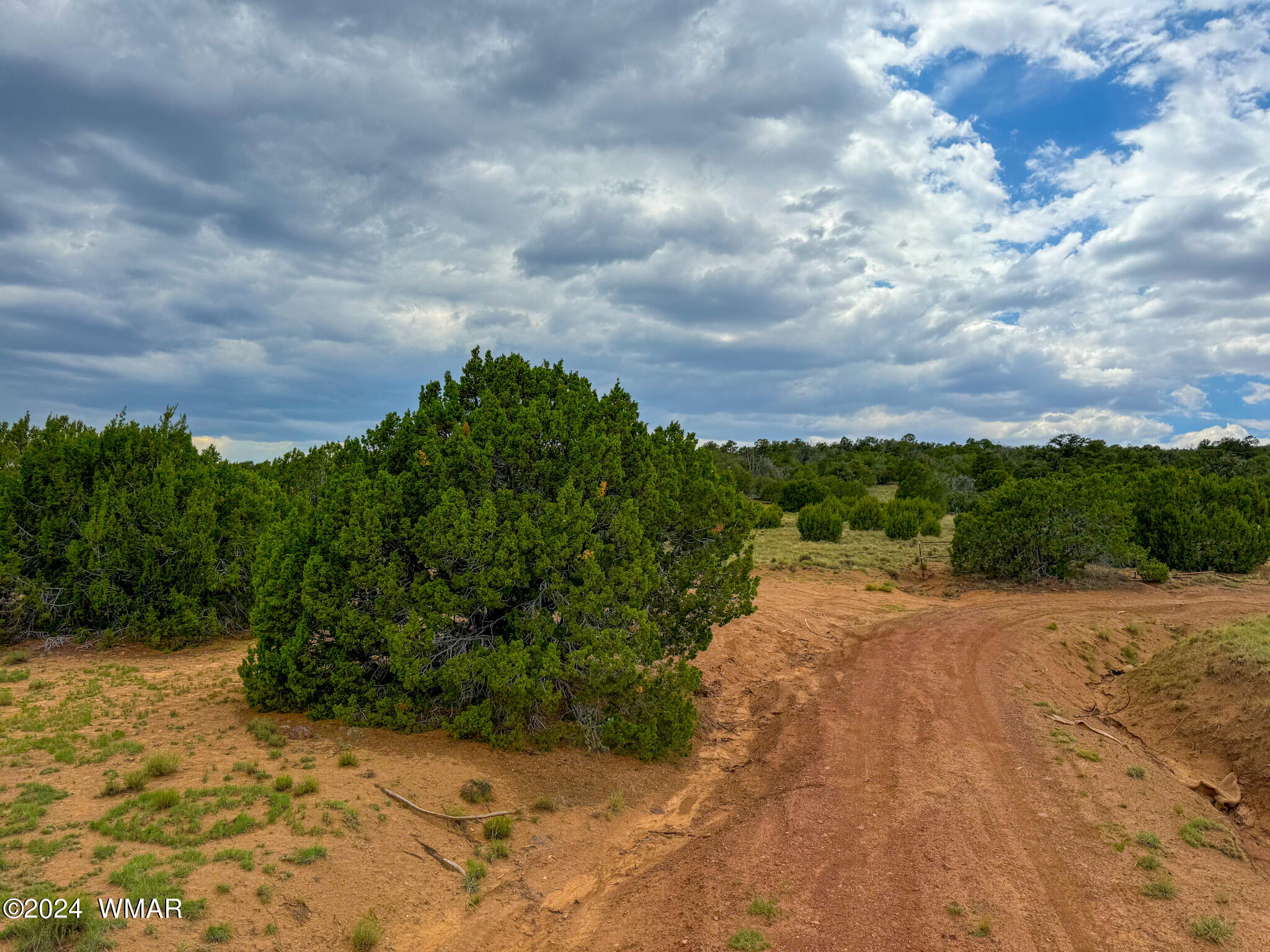 22-26 County Road Concho, AZ 85924 - Photo 4 of 25 IMG_5487 (1)