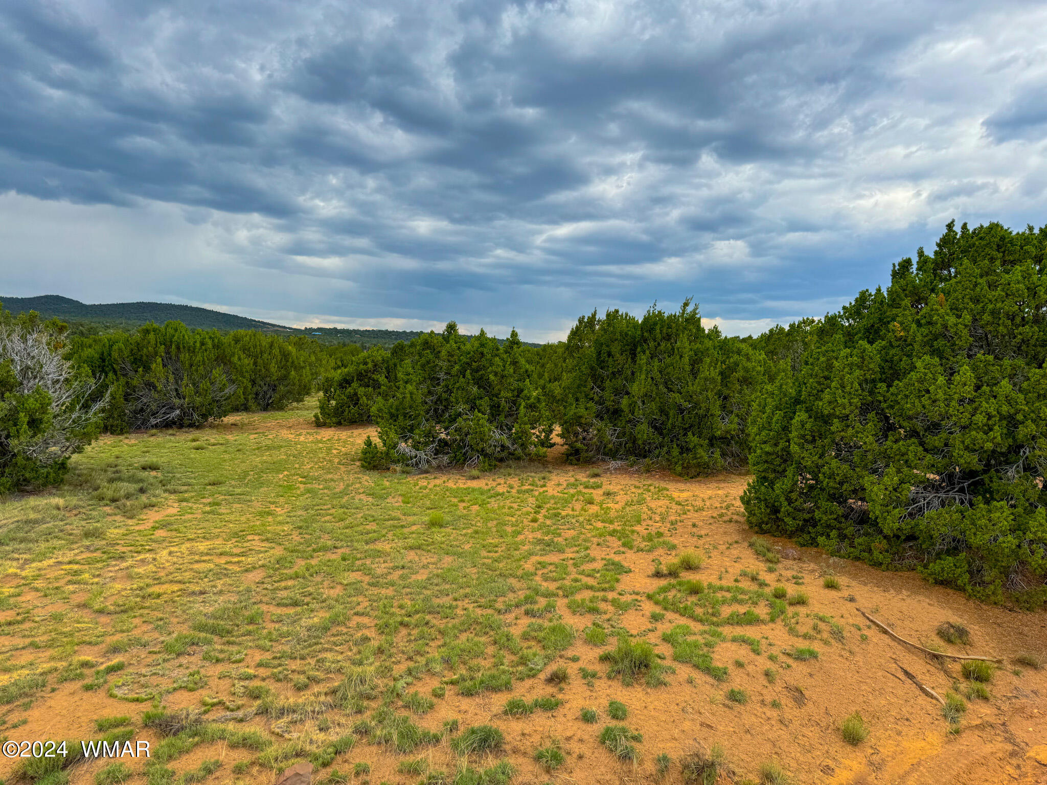 22-26 County Road Concho, AZ 85924 - Photo 5 of 25 IMG_5486 (1)