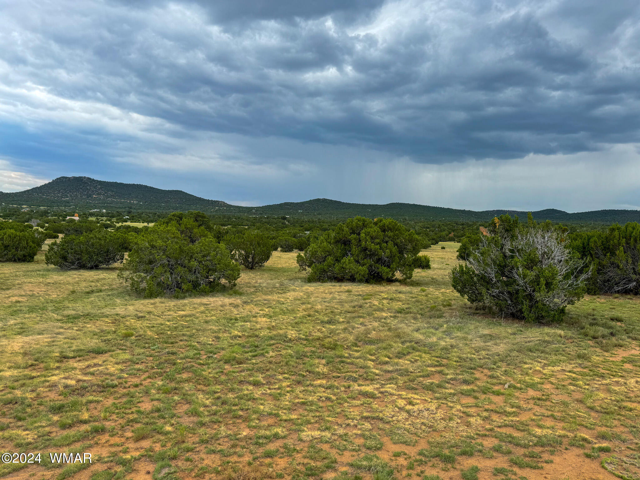 22-26 County Road Concho, AZ 85924 - Photo 8 of 25 IMG_5482