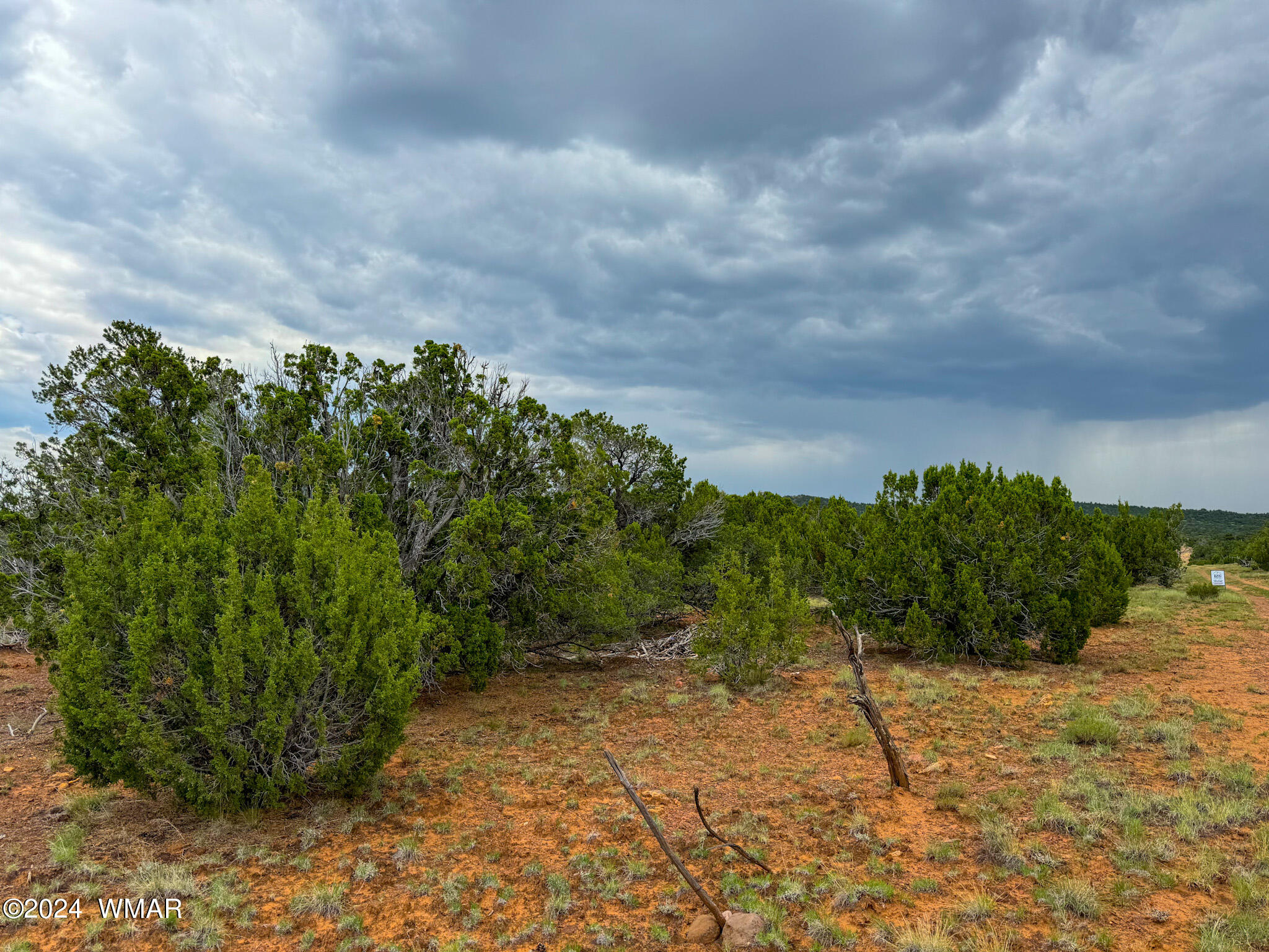 22-26 County Road Concho, AZ 85924 - Photo 9 of 25 IMG_5481 (1)