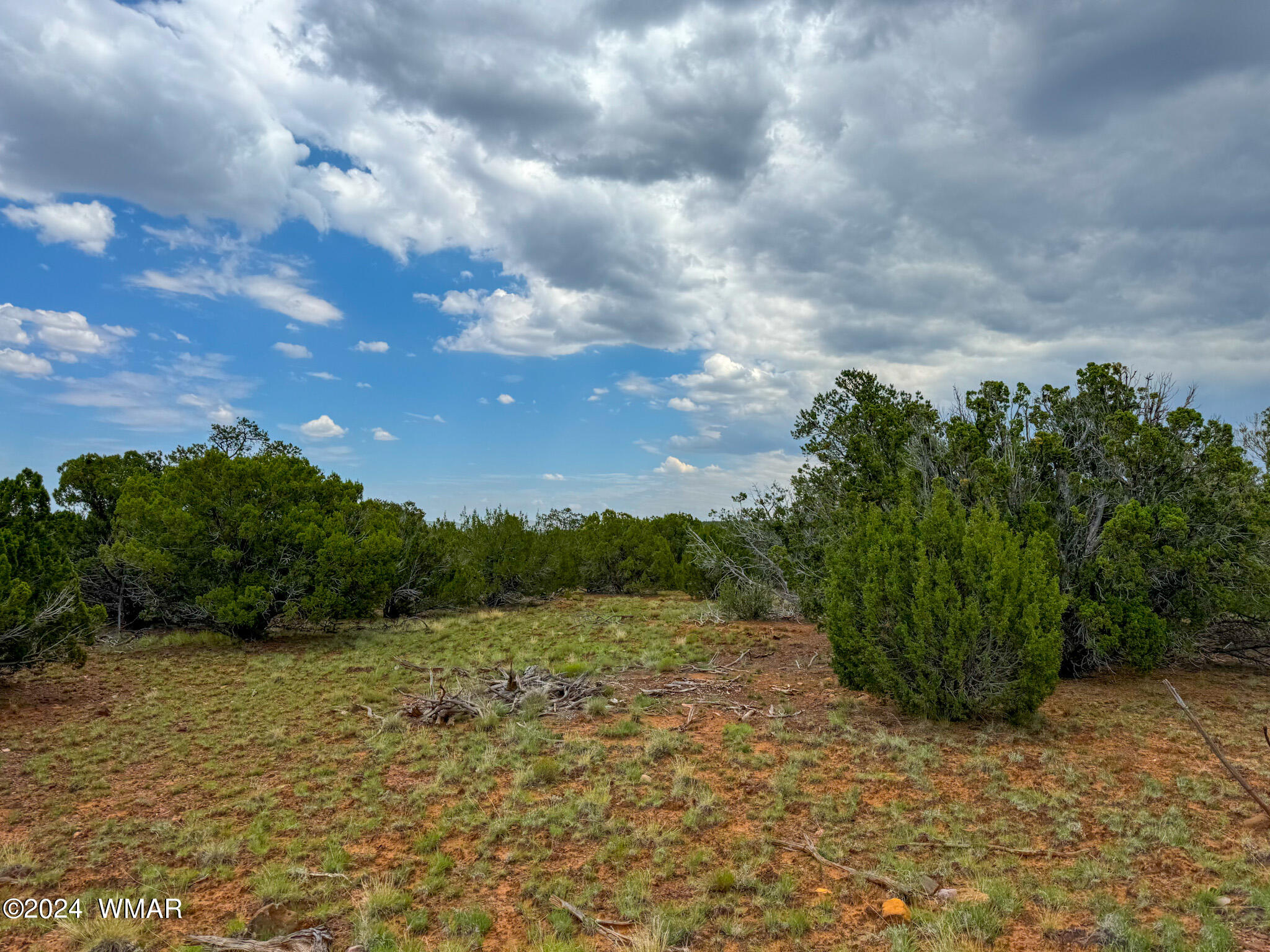22-26 County Road Concho, AZ 85924 - Photo 10 of 25 IMG_5480 (1)