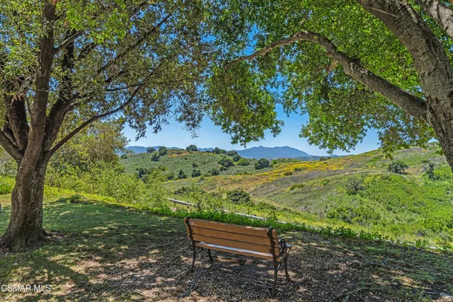 a view of a swimming pool with lounge chairs