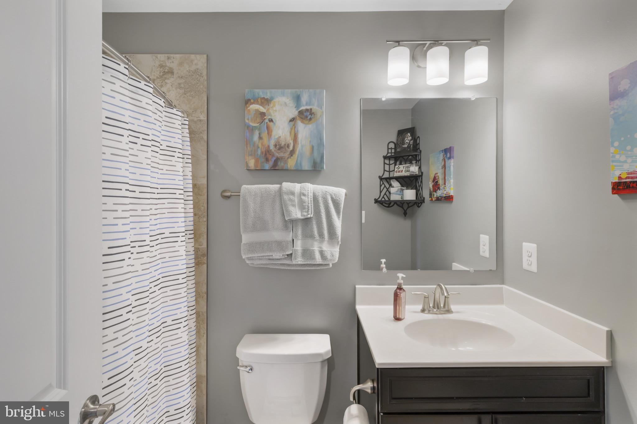 7107 Littlemore Way Hanover, MD 21076 - Photo 35 of 39 a bathroom with a sink and a mirror