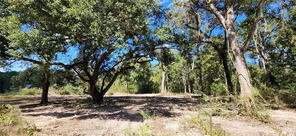 0 Bennett Road Holden, LA 70744 - Photo 13 of 13