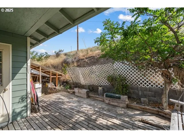 a view of a backyard