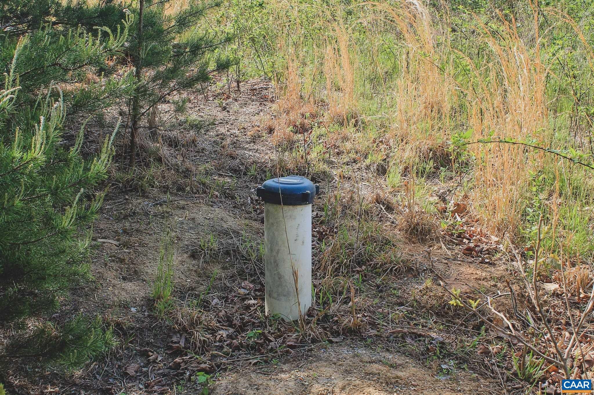 Lot 33 Thomas Ridge Lane Ruckersville, VA 22968 - Photo 26 of 41 Gallery Image 26